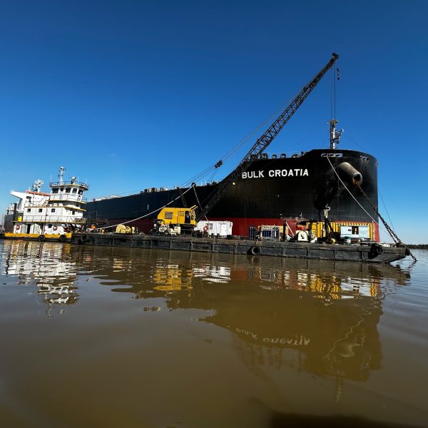 BULK CROATIA (3)